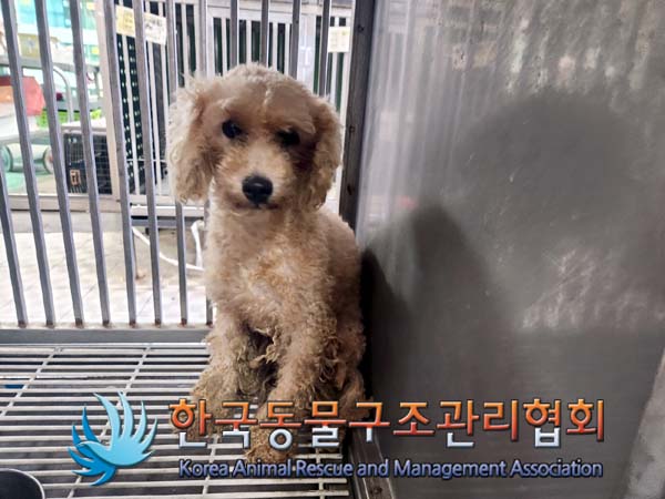 한국동물구조관리협회_411316202400626